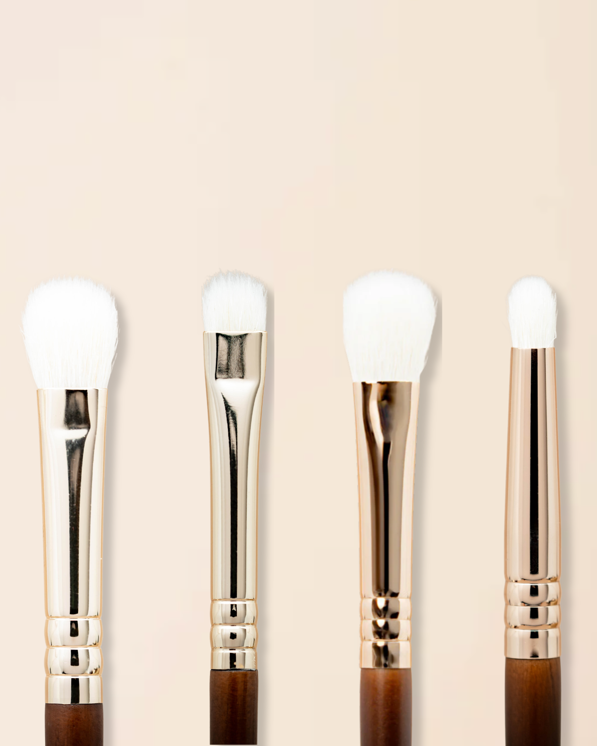 Basic Detailed Set — 4 Essential Eye Brushes